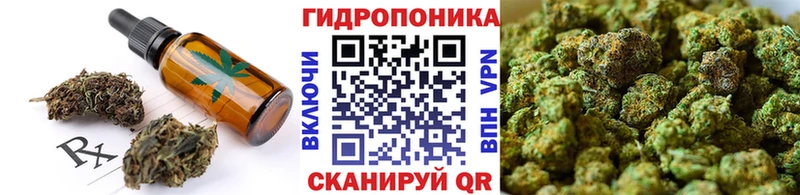 Купить закладки  Волжск  Печенье с ТГК конопля 