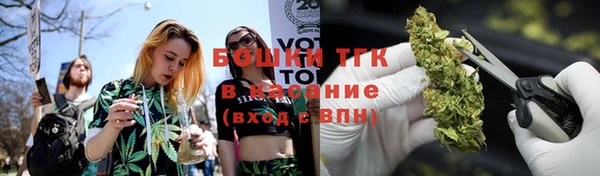 гашик Аркадак