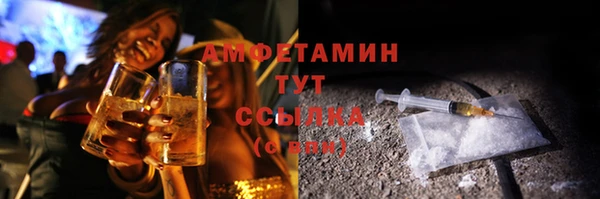 гашик Аркадак