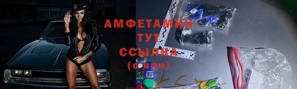 гашик Аркадак