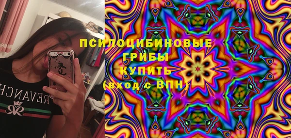 гашик Аркадак
