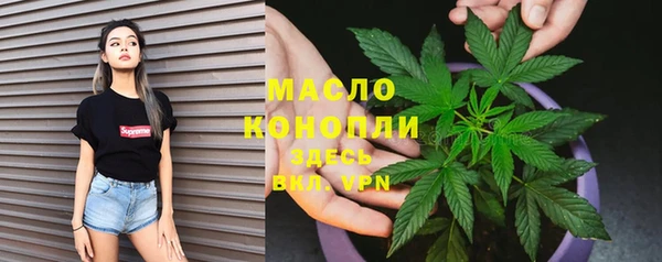 гашик Аркадак
